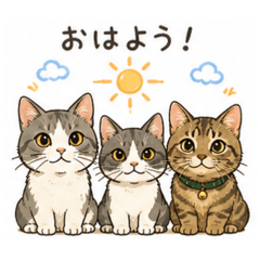 Kiki Koko Chacha greeting (3 cats)