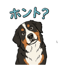 B.M.Dogs_Maro1