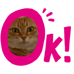 Haruka_20260426230032