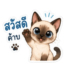 Wxmxn_20260427115221