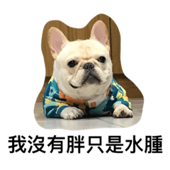 POOPOO's life