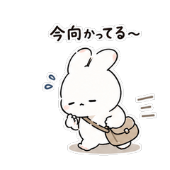 Bunny's Soft Replies