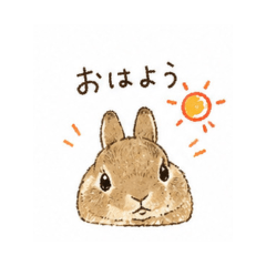 Usagi - Daily Chat Stickers2