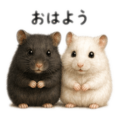 yucho_20260426105130