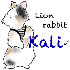 Lion head rabbit "KALI"