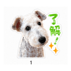 Wirefox Terrier Stickers
