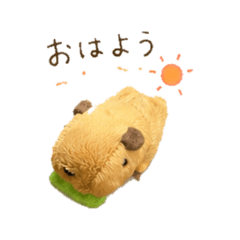 Capybara - Daily Chat Stickers2