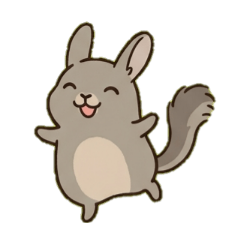 Soft and Fluffy Rare Animal Viscacha
