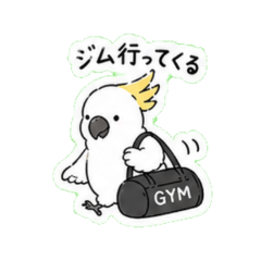 White parrot - Daily Chat Stickers