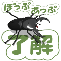 Hiratakuwagata on the SP 4 (pop-up)
