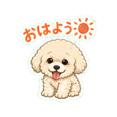 Toy Poodle - Daily Chat Stickers