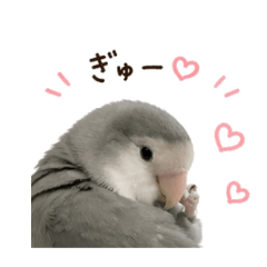 araremama_20260426113813