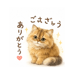 Maro-chan | Daily Chat Stickers