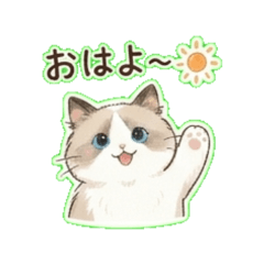 Daily ragdoll Stickers