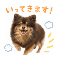 ocoge_20260426230631