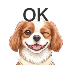 parumaru_20260426230600