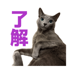 aritomo_20260426230303