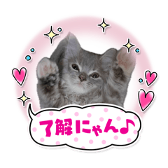 Sh113a_20260426230933