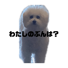 wakan2ya_20260426231406