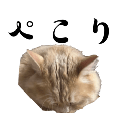 MARIN.._20260426230822