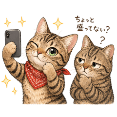 What Cats Are Thinking (App Edition)