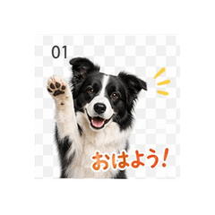 Idol Dog Ren's Daily Stickers