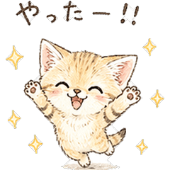 Sand Cat: The Little Desert Angel