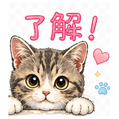 Lovely Kitten Daily Stickers
