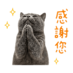 錢錢多多感謝貼圖