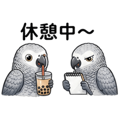 Two African Grey Parrots Stickers
