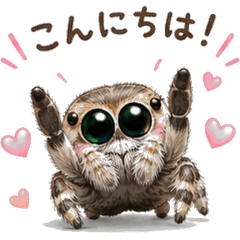 fluffy jumping spider! 16 stickers