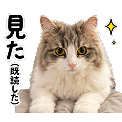 Horo's Chill Daily Stickers