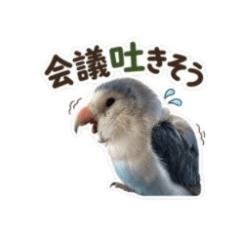 Working Lovebird Cute Office Bird