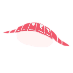 sushi_20260426121231