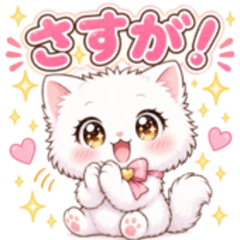 White Cat Everyday Words