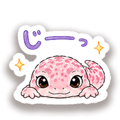 Cute Pink Gecko Daily Stickers