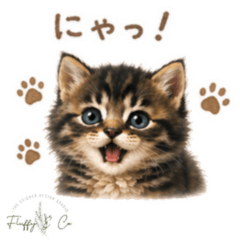 Shoko-nyan's Daily Greeting Stickers