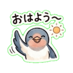 Stickers swallow