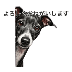 Blackangel_20260426125630