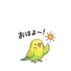 Parakeet-Everyday Useful Phrase Stickers