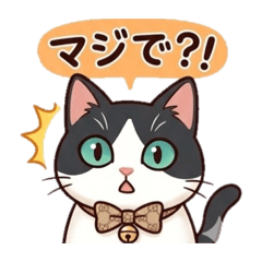 ameiro_banira_20260426133128