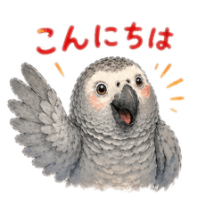 yokko_20260426135751