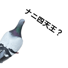 Hiroaki_20260426140233