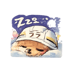 sataka_20260426140243