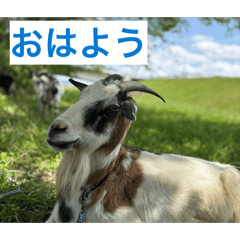 Haiji_20260426231353