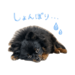 YURIKA_20260426232305