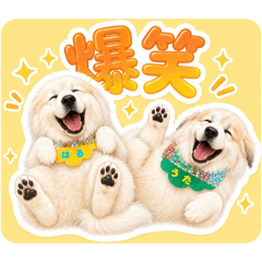 ebirin_20260426141014