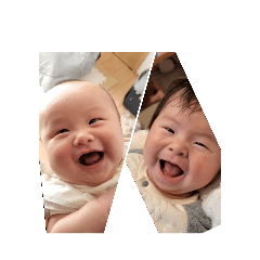 SkyCat_20260426232338