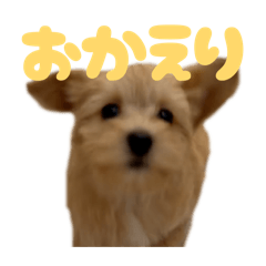 massunnnnn_20260426233525