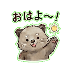 Binturong- Daily Chat Stickers